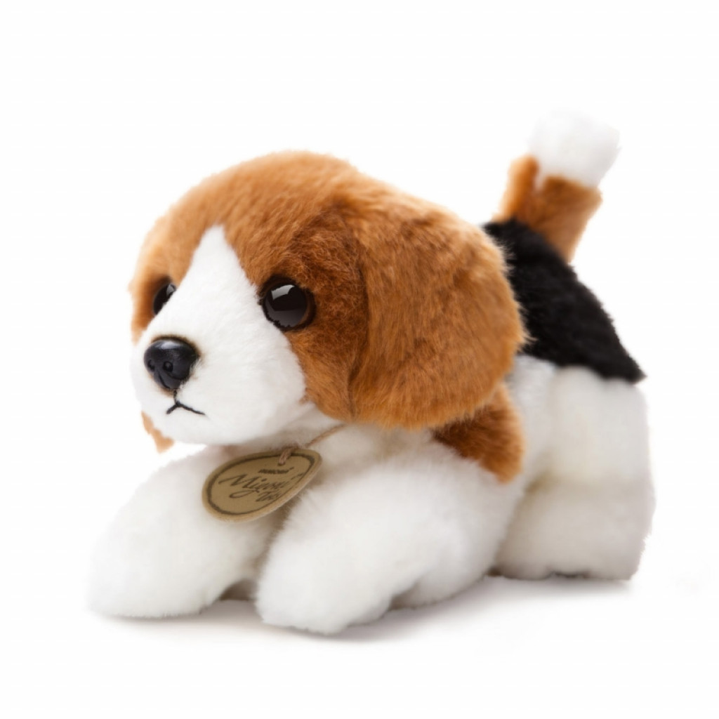 Aurora Plüss beagle - Miyoni (20 cm)