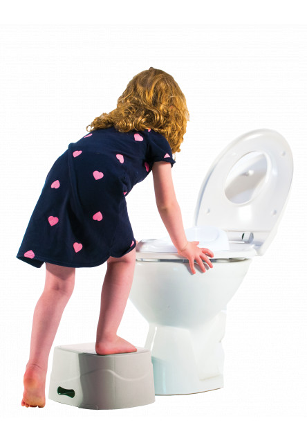 3in1 PottyChamp Silver