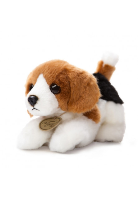 Plüss beagle - Miyoni (20 cm)